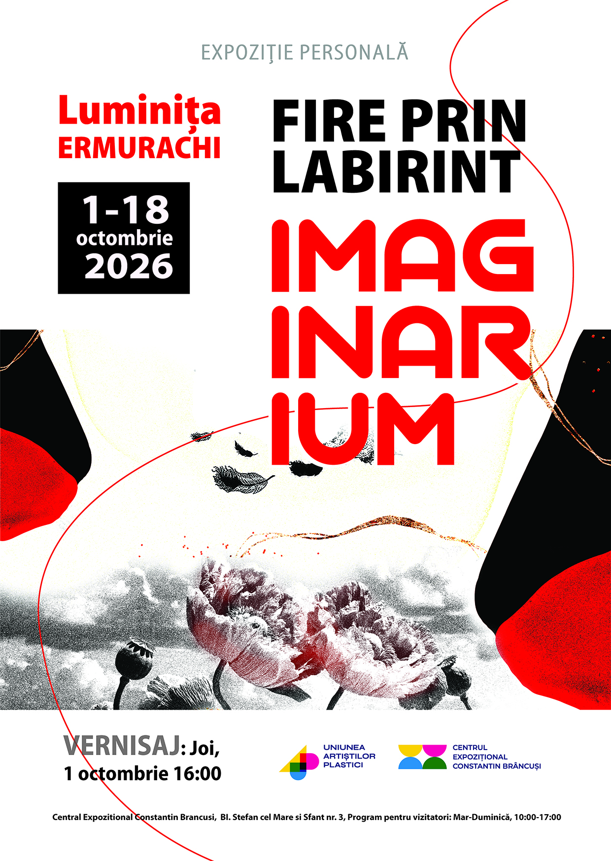 Luminița Ermurachi/Fire prin labirintul imaginarum